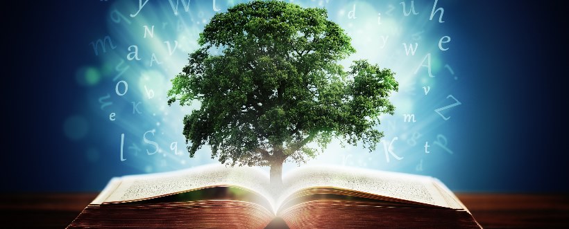 ISO 14001 versión 2015