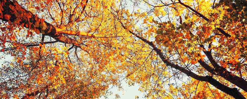 Contexto de la organización ISO