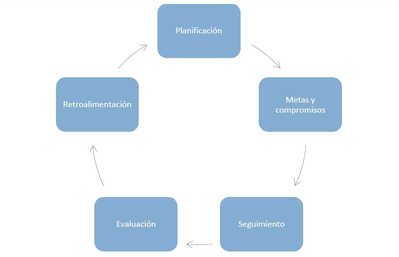 gestión del rendimiento